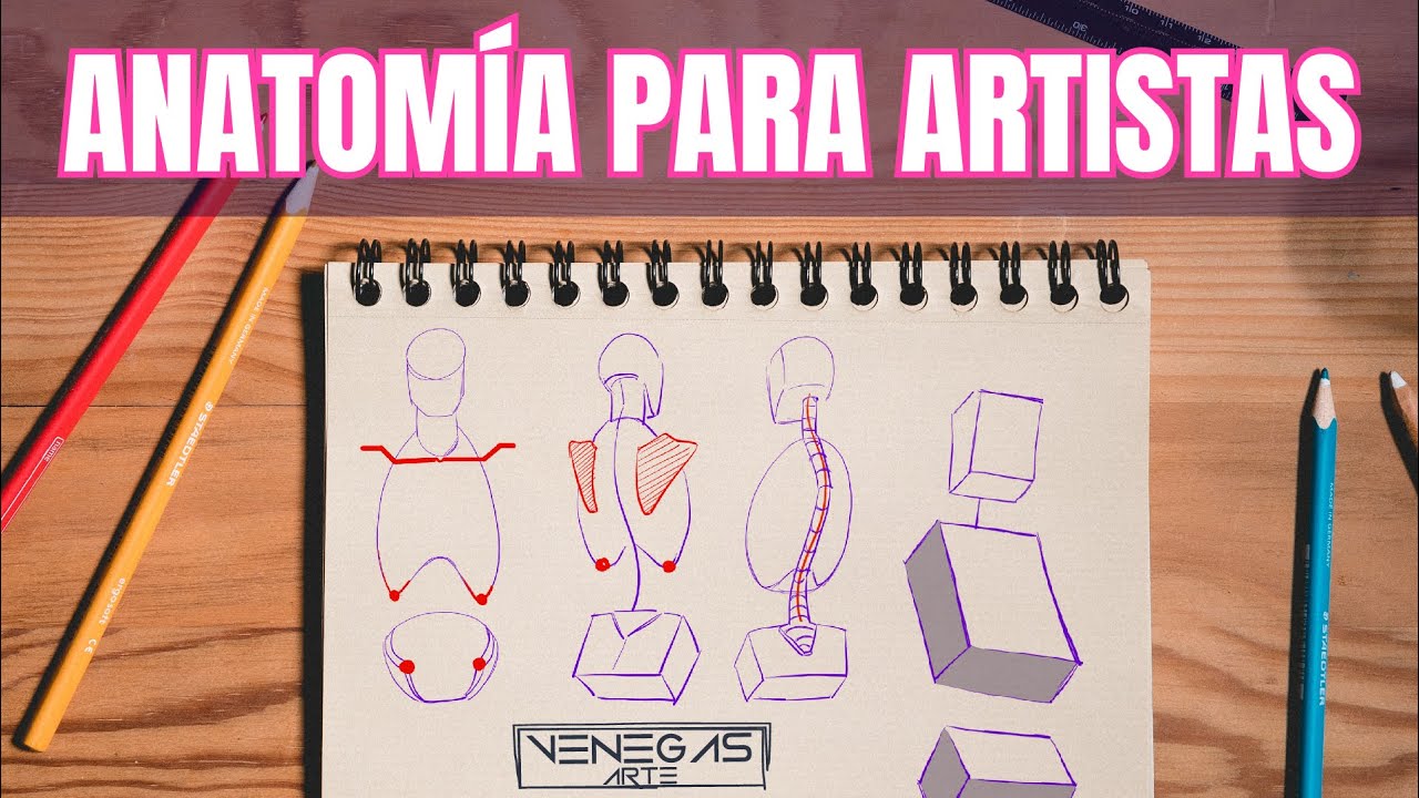 ¡Aprendiendo a dibujar anatomía! Nueva Serie