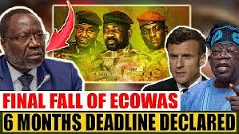 FALL OF ECOWAS!!  Why did Mali, Niger and Burkina Faso quit Ecowas