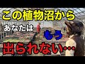 【見たら沼落ち】多肉植物の栽培が今日から１００倍楽しくなります。【おらいさん】【ミックスベリア】