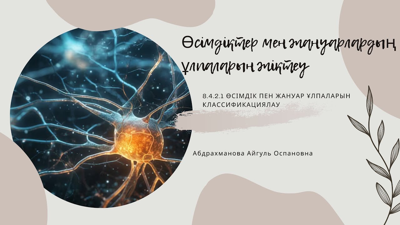 Ауылдық шлюхалардың волосатые письки Жас әйел күйеуінің қарызын порно арқылы төлейді