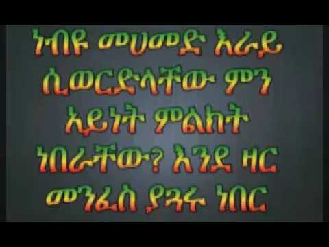 ቪዲዮ: ግመል የሚበላው