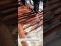 Satisfying Roof Foam Insulation Process | Satisfying Spray Work
