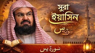 মায়াবী কন্ঠে কোরআনের সুরা ইয়াসিন তেলাওয়াত | Abdul Rahman Al-Sudais | Soft voice Quran recitation  screenshot 5