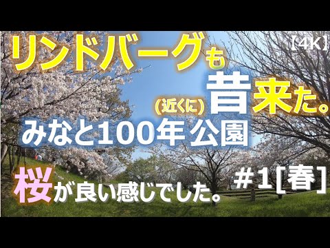 年 みなと 公園 100