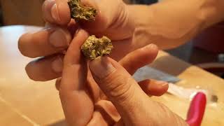 monkey buds round 1