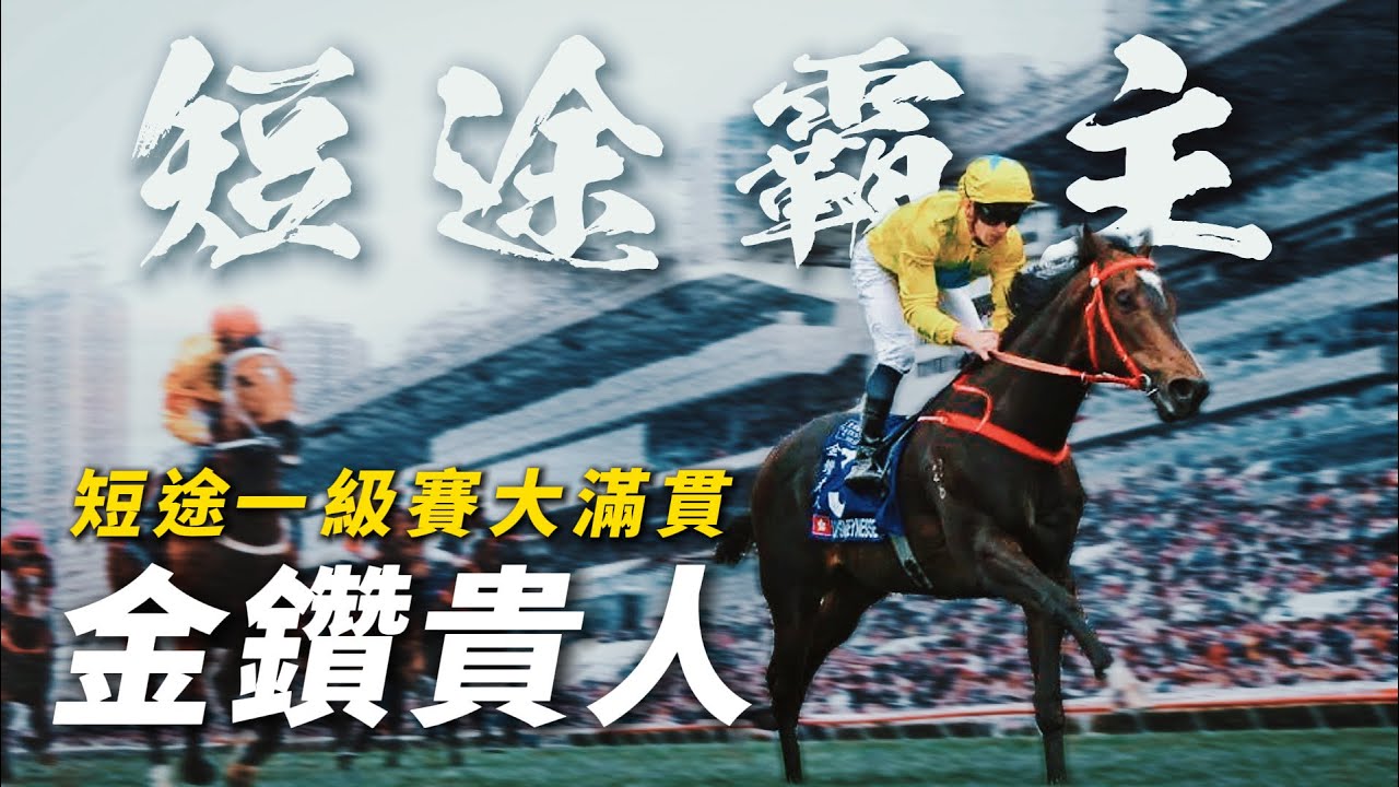 四歲一季八捷！香港速度系列三冠王｜金鑽貴人｜夥拍梁家俊遠征日本短途馬錦標能否重返巔峰？｜文家良｜潘頓｜#賽馬物語