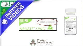 Negate 37WG Herbicide