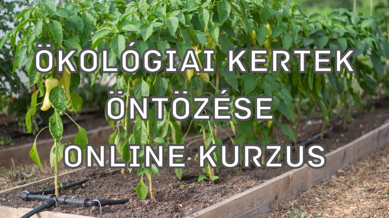 Ökológiai kertek öntözése online kurzus
