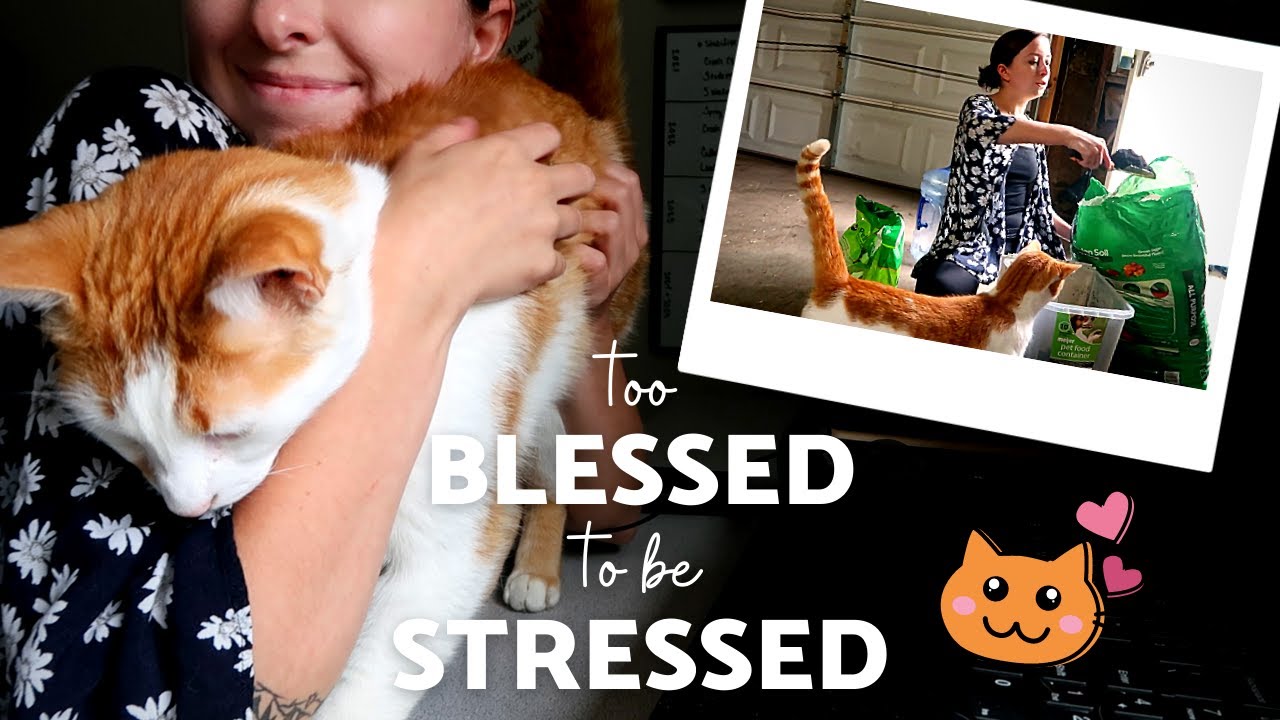 Итак, моя семья узнала о моем канале на YouTube... 😳 Проактивный день(ы) в блоге Life Vlog