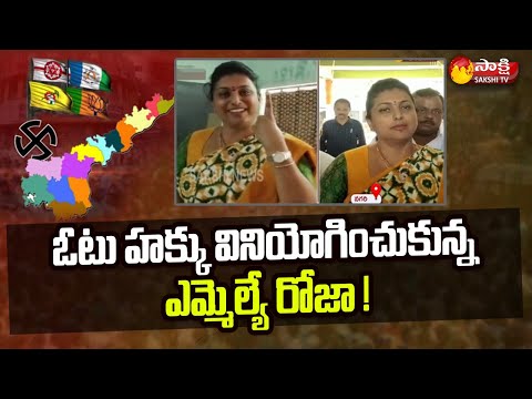 AP Municipal Elections