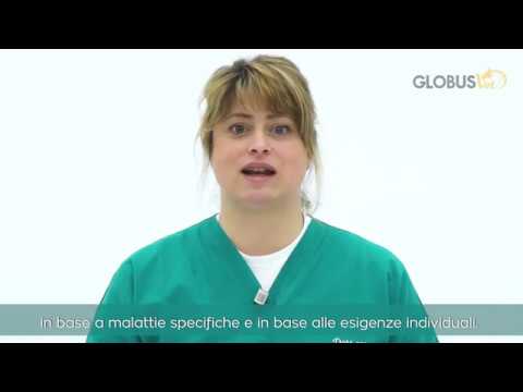 Апарат ультразвуку Вет UltrasoundVet 4000 Globus Італія, видео 1