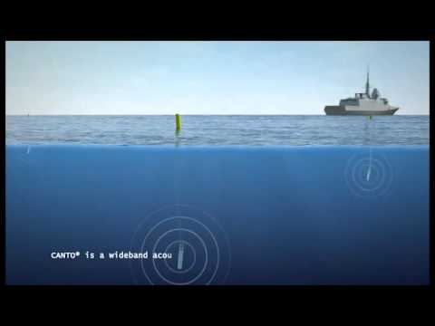 Vídeo: Como Eliminar O Rangido De Um Torpedo