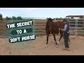 The Secret to Achieving a Soft Horse