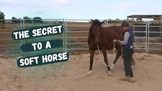 The Secret to Achieving a Soft Horse screenshot 4