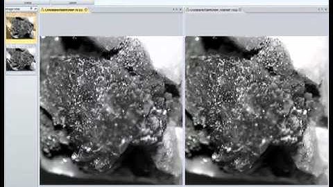 Image Alignment & EDF with Image-Pro Insight software