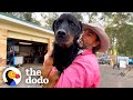 Aggressive rottweiler who spent his life in shelters dotes on his human siblings  the dodo