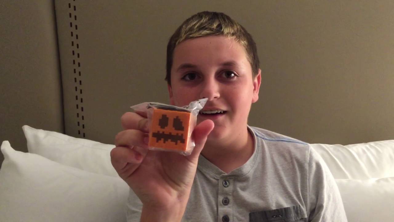 Minecon 2016: Goody Bag