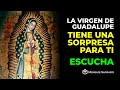 💖La Virgen de Guadalupe tiene una sorpresa para tí, escucha y recibe su ayuda💫