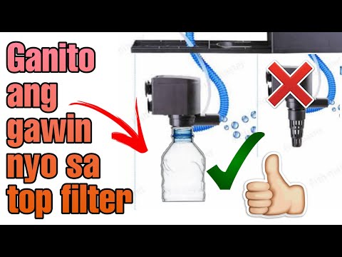 How to Setup Top Filter for Aquarium?