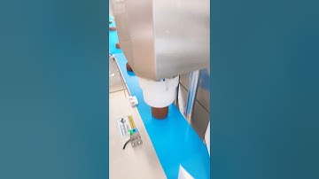 #biscuit extrusion stamping cutting auto placing machine