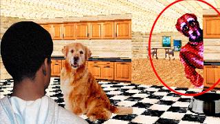 DO NOT Take Care Of The Dog... | Take Care Of The Dog