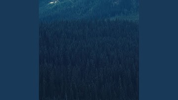 Pulsating Backdrops for Deep Sleep