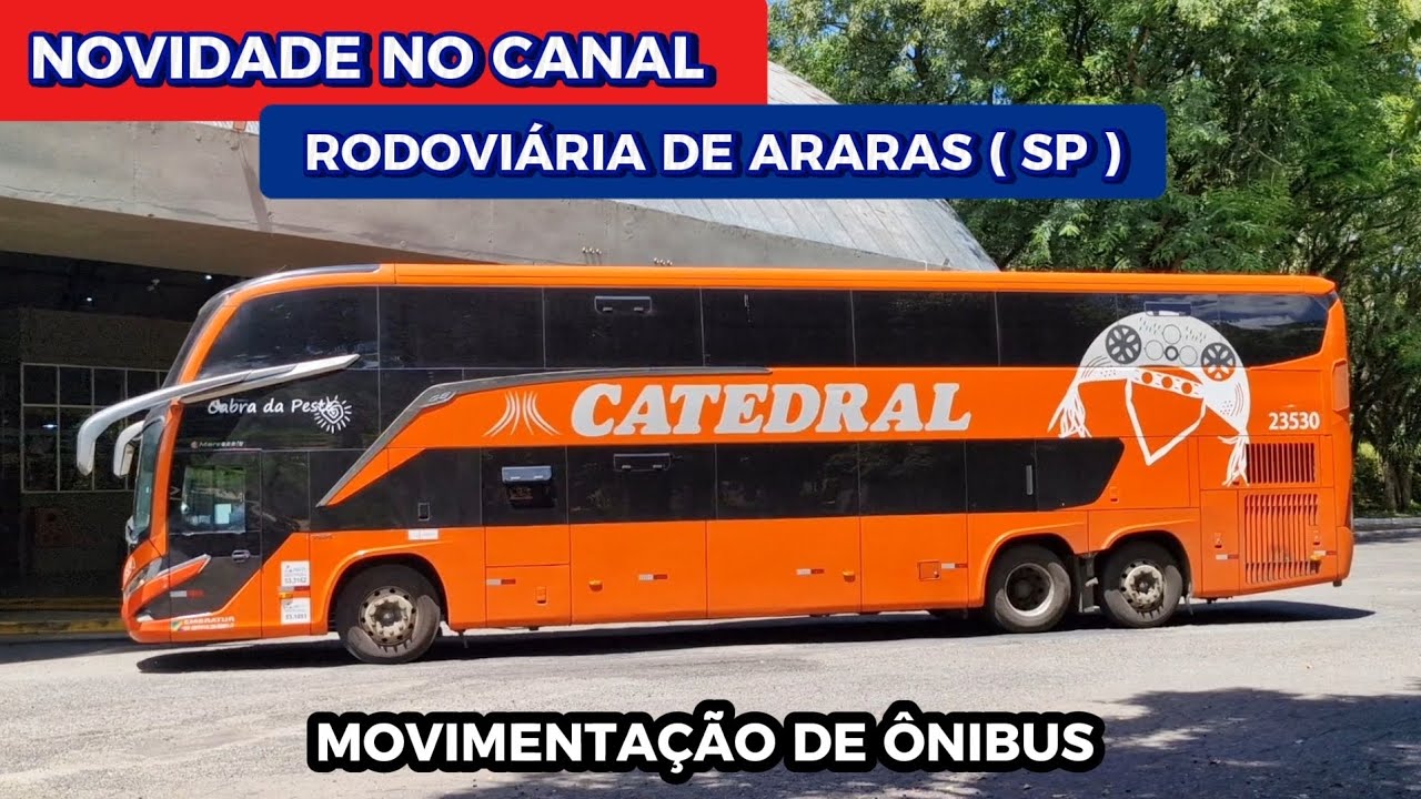 NOVIDADE E ESTRÉIA NO CANAL ! MOVIMENTO DE ÔNIBUS NA RODOVIÁRIA DE ARARAS ( SP )