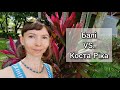 Балі vs. Коста-Ріка 🌴