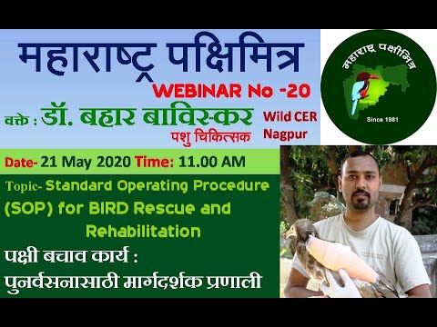 Bird Rescue & Rehabilitation (SoP) by Dr. Bahar Bawiskar पक्षी उपचार आणि पुनर्वसन