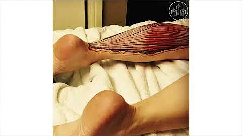 Anatomically Accurate Body Paintings by Danny Quirk