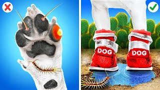 أفضل أدوات لمالكي الكلاب: أدوات عبقرية لأصحاب الحيوانات الأليفة الأذكياء من La La Life 🐶