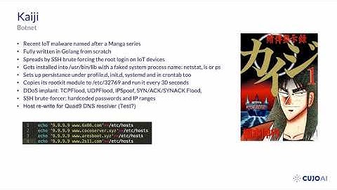 #Hacktivity2020 // Reversing Golang Binaries with Ghidra by Dorka Palotay and Albert Zsigovits