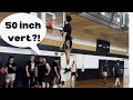 THP Deload Week Dunk Session: One Of My Highest Jumps Yet!
