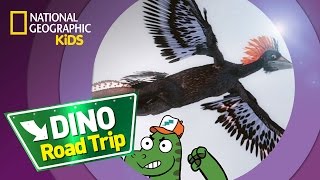 Anchiornis | Dino Road Trip screenshot 2