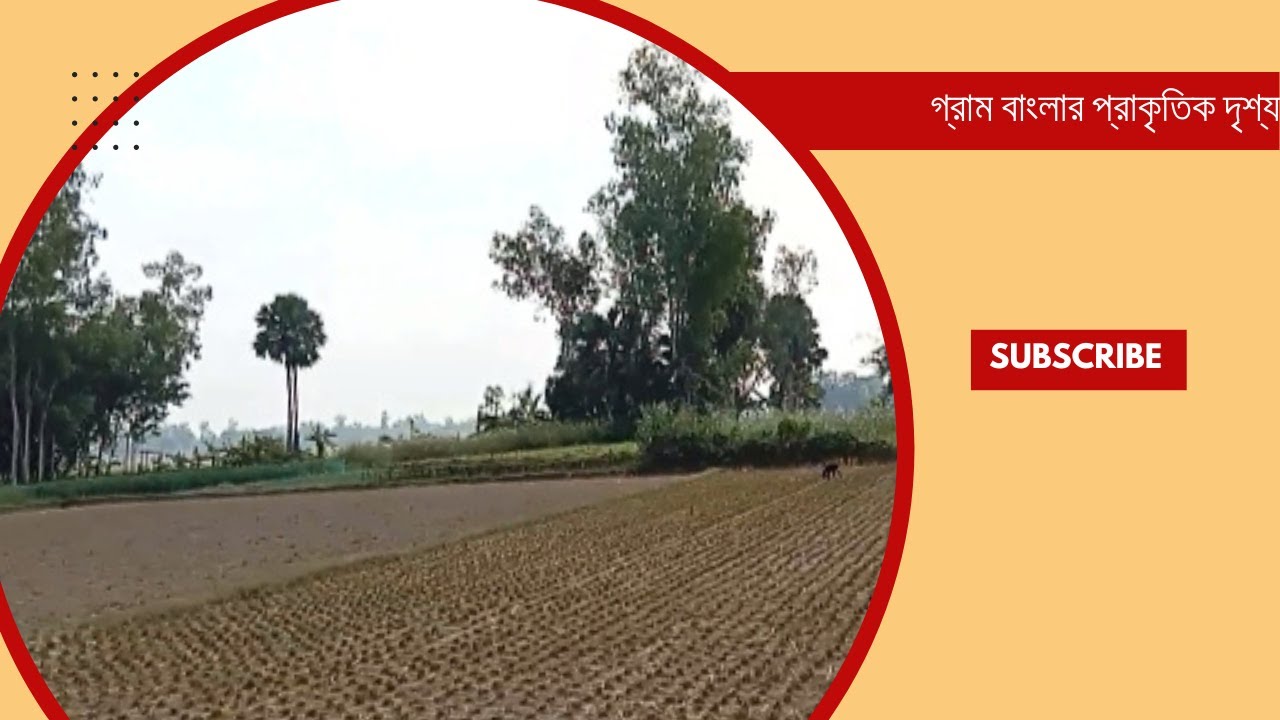 গ্রাম বাংলার মনোরম প্রাকৃতিক  দৃশ্য
