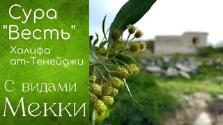 Cура "ан-Наба" (النَّبَأ) "Весть" [№ 78] / с видами Мекки / шейх Халифа ат-Тенейджи