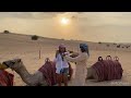 Dubai Desert Safari Adventure - Camels, Sand Dunes, Belly Dancing, Ah yeah!