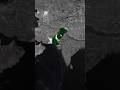 why Bosnia Love to Pakistan 🤔#history #youtubeshorts explain #historyfacts