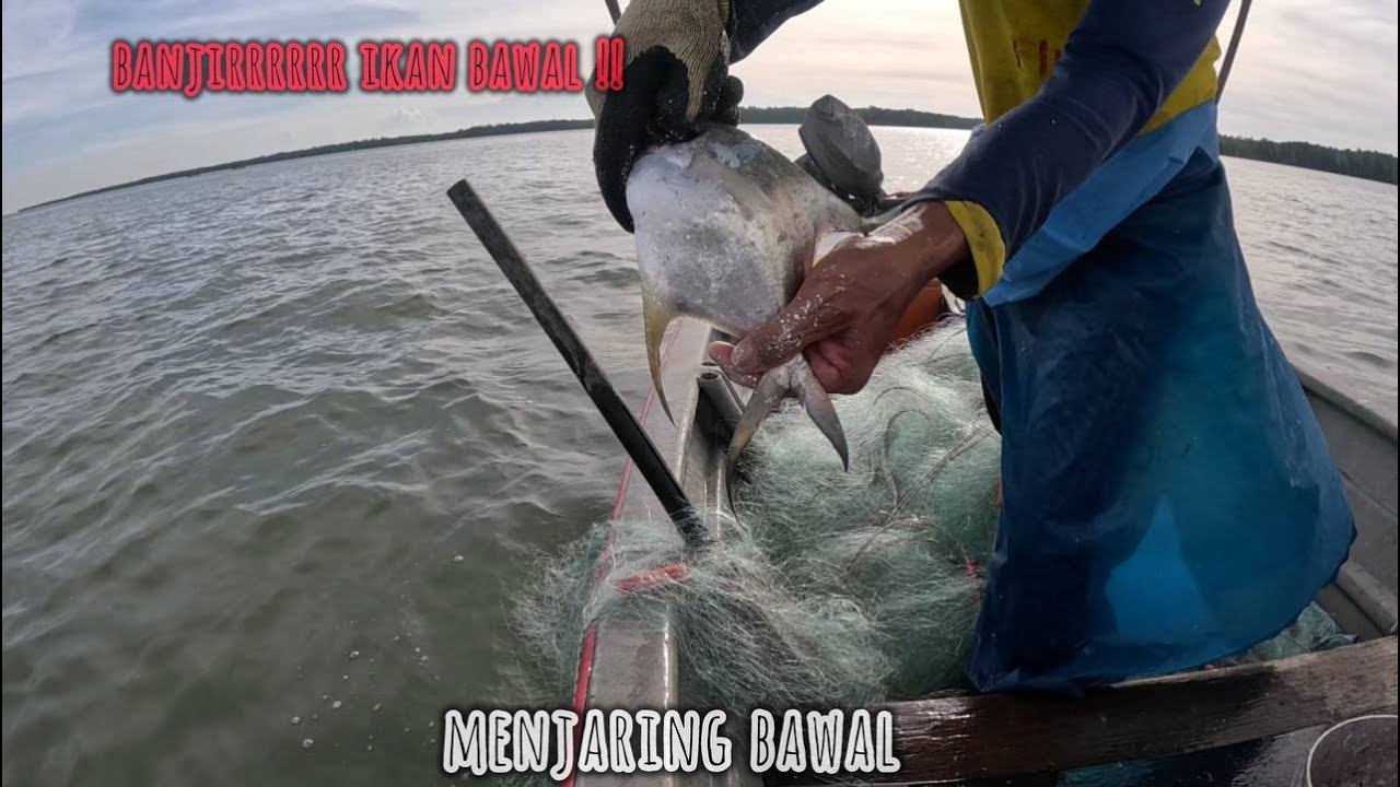 BANJIR BAWAL KEMBALI !! AYAHNDA KELAUT SEORANG DIRI LAGI ..