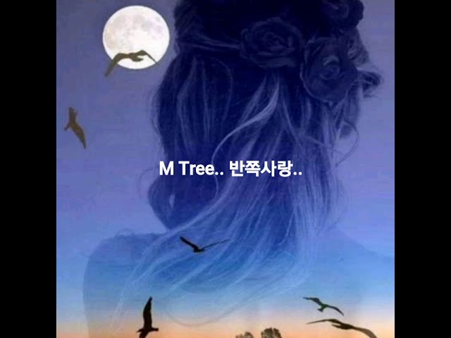 M Tree.. 반쪽사랑..(가사첨부) class=