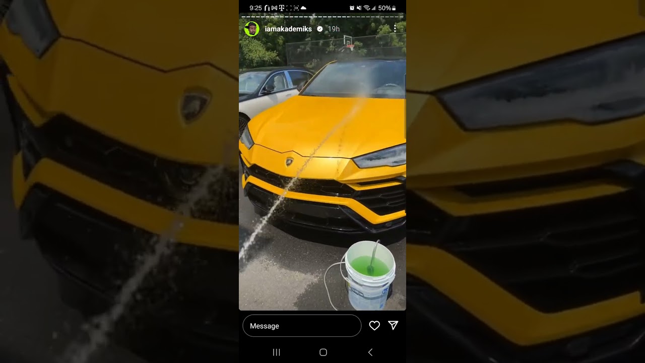 dj akademicks : day in the life dj akademicks washes his cars and take his dog to the vet