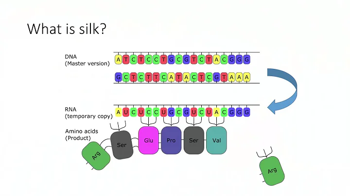 Michelle Strickland: Spider Silk: Hacking Nature's...