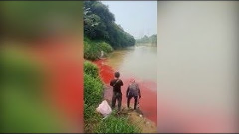 Kasus Pencemaran Sungai Cisadane akan Ditindaklanjuti