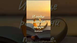 И ты поймёшь что жизнь прекрасна 🌞❤️💐 #видеооткрытки #любовь #подпишись