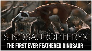 Sinosauropteryx: The Tiny Feathered Predator | Dinosaur Documentary