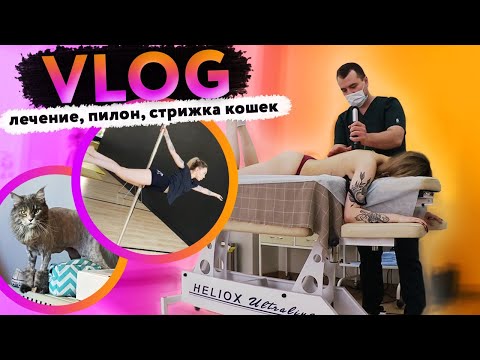 Video: Tlustý Vřed U Koček