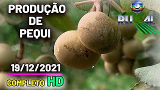Globo Rural | Produção de pequi | 19/12/2021 | Completo HD