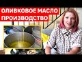 How Olive Oil Is Made! ОЛИВКОВОЕ МАСЛО - ПРОИЗВОДСТВО!