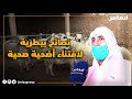 نصائح بيطرية لاقتناء أضحية صحية يقدمها الدكتور بدر الطناشري الوزاني