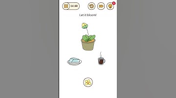 Brain Find Level 60 let it bloom.